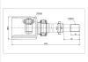 CV Joint:NI-589-Model