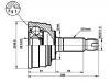 球籠 CV Joint:15-1074