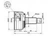 球籠 CV Joint:44010-S04-010